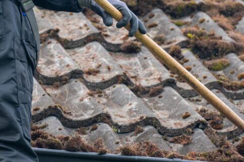 Welshpool Roof Moss Removal Experts