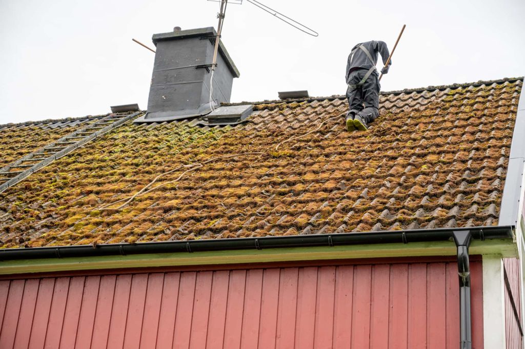 Roof moss removal services Welshpool